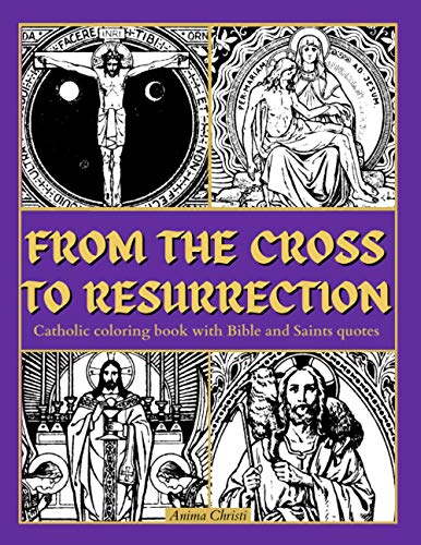 Algopix Similar Product 14 - From the Cross to Resurrection