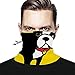Algopix Similar Product 9 - NiYoung Riding Face Mask Bandana Neck