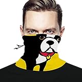Algopix Similar Product 9 - NiYoung Riding Face Mask Bandana Neck