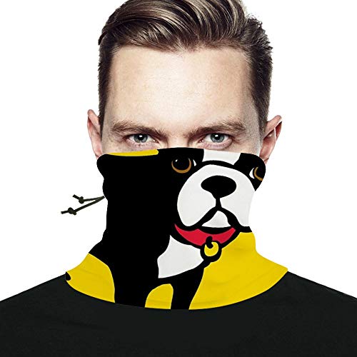 Algopix Similar Product 12 - NiYoung Riding Face Mask Bandana Neck