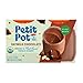 Algopix Similar Product 20 - Petit Pot  Organic French Dessert 