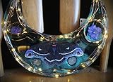 Algopix Similar Product 20 - Calleta Moth with Amethyst Botanical