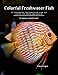 Algopix Similar Product 2 - Colorful Freshwater Fish 15 Colorful