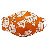 Algopix Similar Product 16 - 3 Layer Floral Face Mask  Reusable
