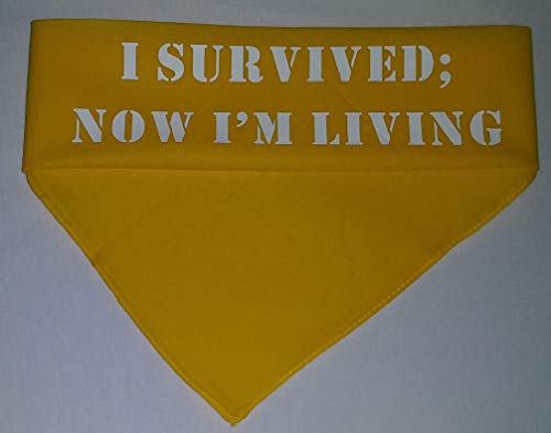 Algopix Similar Product 2 - I Survived Now Im Living Head