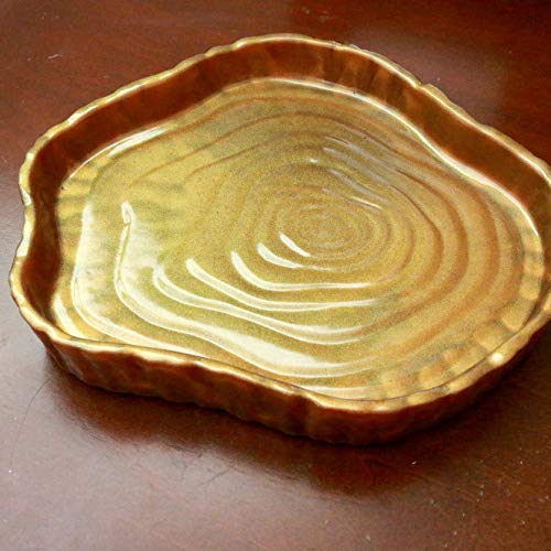 Algopix Similar Product 1 - Colorshift Gold/Green Tree Stump Tray