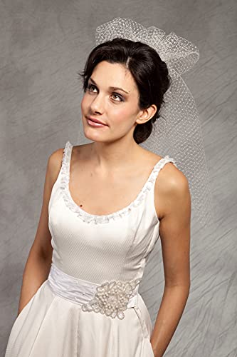 Algopix Similar Product 20 - High Fashion French Net Birdcage Veil