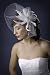 Algopix Similar Product 8 - High Fashion Scallop Birdcage Veil with