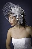 Algopix Similar Product 3 - High Fashion Scallop Birdcage Veil with