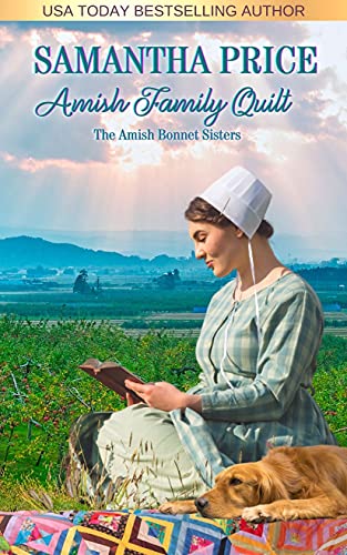 Algopix Similar Product 5 - Amish Family Quilt Amish Romance The