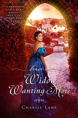 Algopix Similar Product 6 - Leave a Widow Wanting More A Steamy