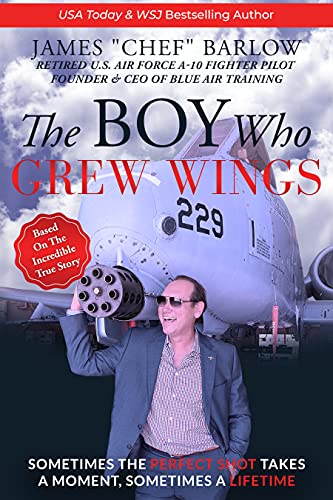 Algopix Similar Product 13 - The Boy Who Grew Wings Sometimes The
