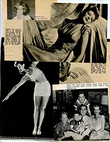 Algopix Similar Product 15 - Marjorie Lord Leggy original clipping