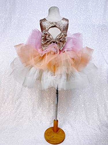 Algopix Similar Product 2 - Multi Colored Pink Orange Ivory Tulle