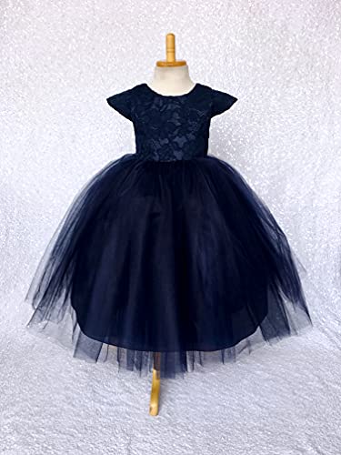Algopix Similar Product 5 - Cap Sleeve Blush Navy French Lace Bow 3