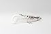 Algopix Similar Product 3 - Haggerty Lures  Curly tail Masked