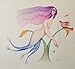 Algopix Similar Product 19 - Mermaid and bird