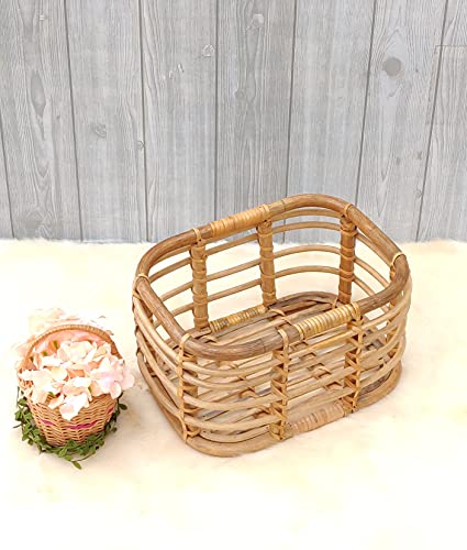 Algopix Similar Product 4 - Box coco basket