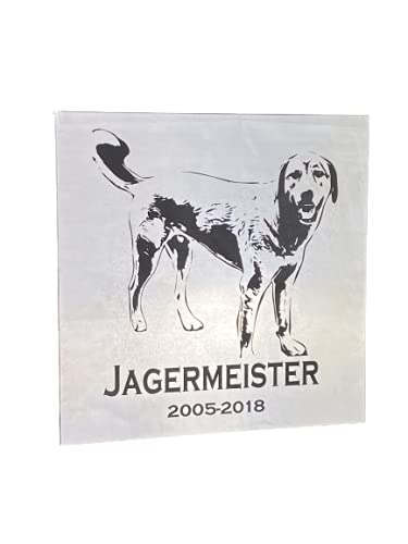 Algopix Similar Product 17 - Pet MemorialAddress Stainless Steel