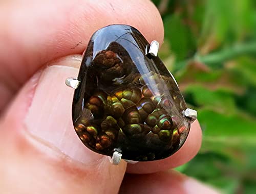 Algopix Similar Product 14 - Gorgeous Gem Bubble Fire Agate Silver