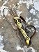 Algopix Similar Product 20 - TACHE Back quiver handmade custom