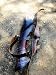 Algopix Similar Product 7 - TACHE Custom Traditional Archery Back