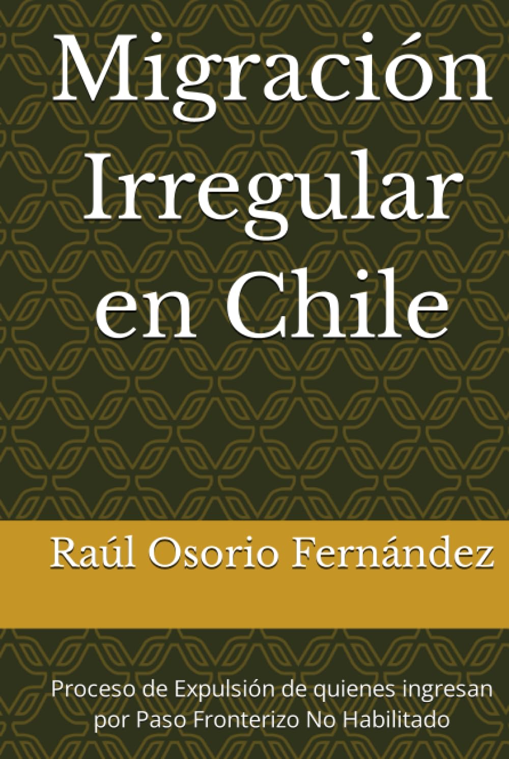 Algopix Similar Product 3 - Migracin Irregular en Chile Proceso