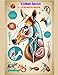Algopix Similar Product 16 - Veterinary Anatomy Coloring Book Color
