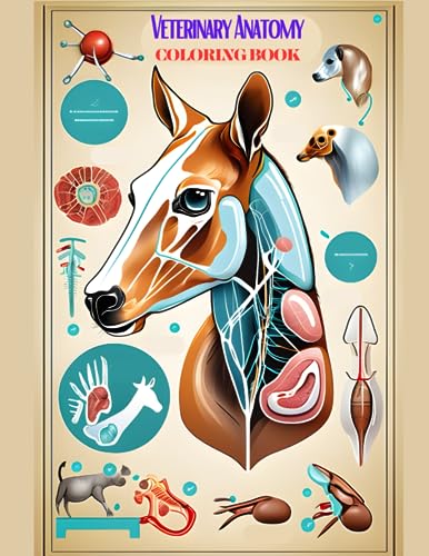 Algopix Similar Product 1 - Veterinary Anatomy Coloring Book Color