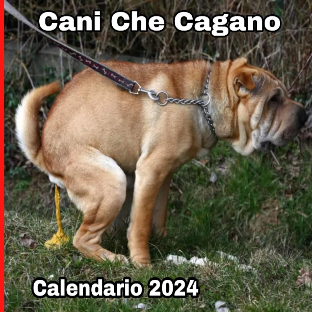 Algopix Similar Product 5 - Cani Che Cagano Calendario 2024