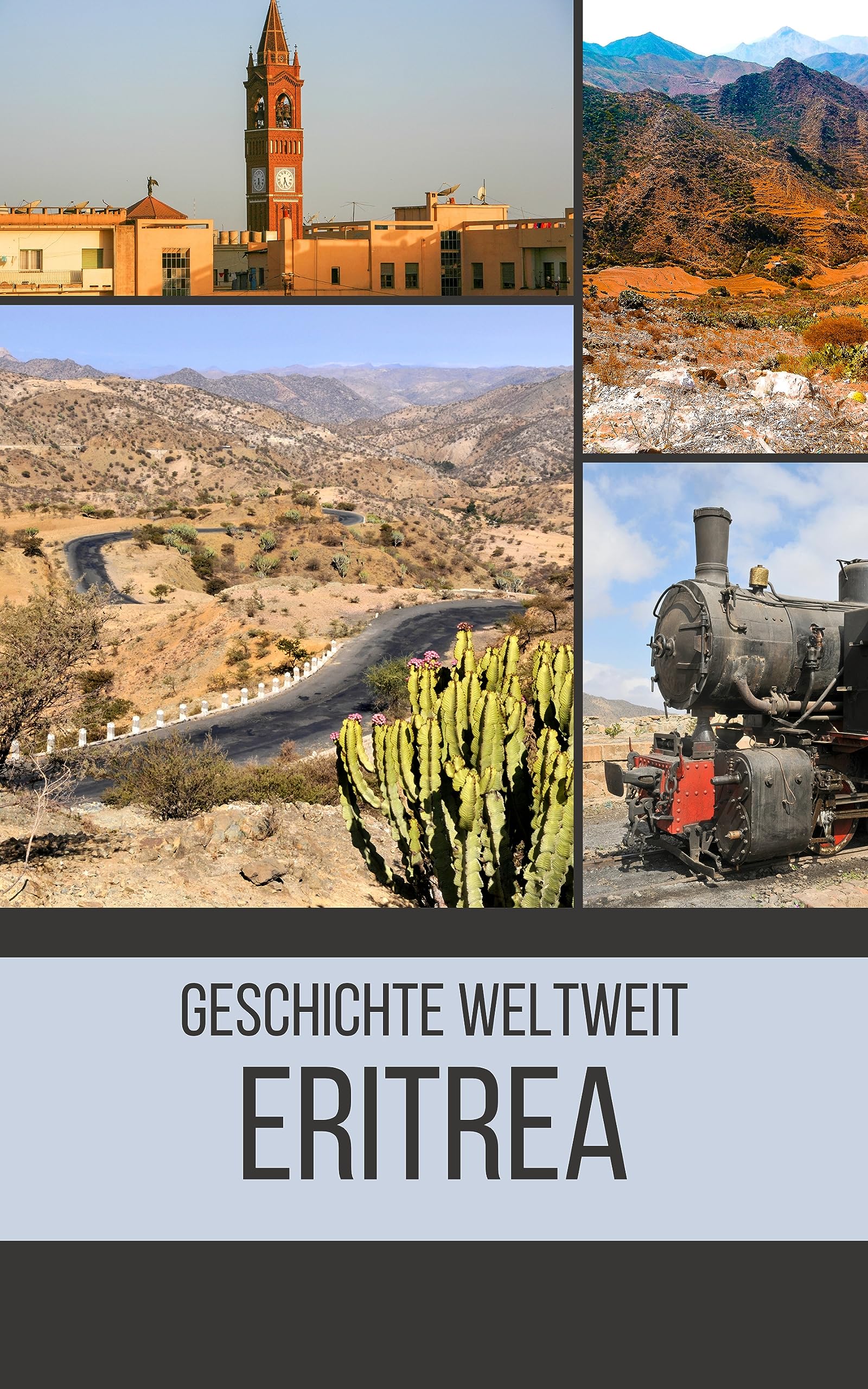 Algopix Similar Product 2 - Eritrea Geschichte weltweit German
