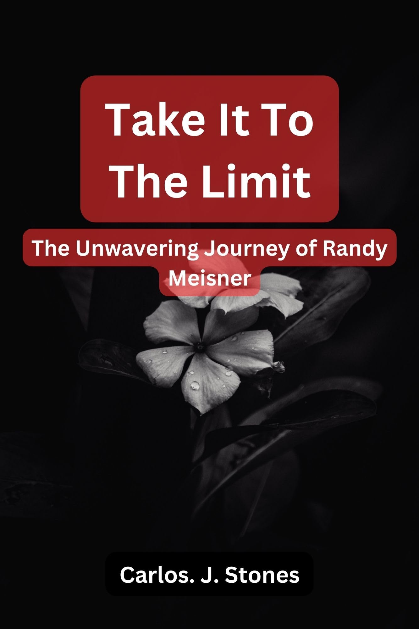 Algopix Similar Product 5 - Take It To The Limit The Unwavering