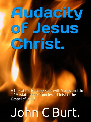 Algopix Similar Product 19 - Audacity of Jesus Christ A look at