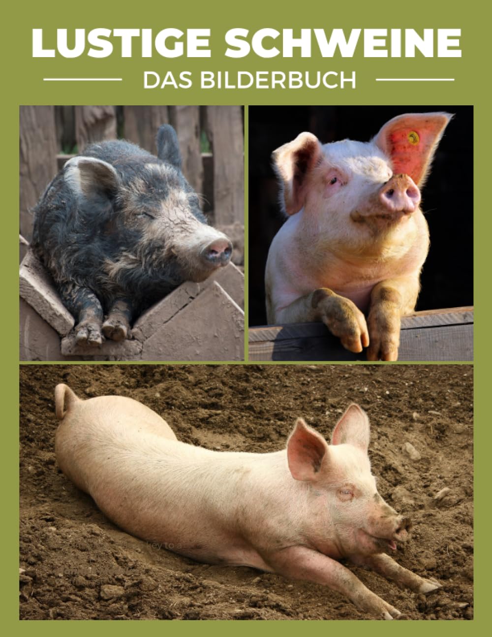 Algopix Similar Product 7 - Lustige Schweine Ein umwerfendes