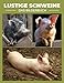Algopix Similar Product 2 - Lustige Schweine Ein umwerfendes