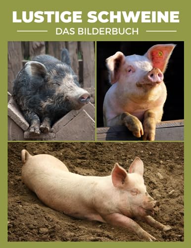 Algopix Similar Product 6 - Lustige Schweine Ein umwerfendes