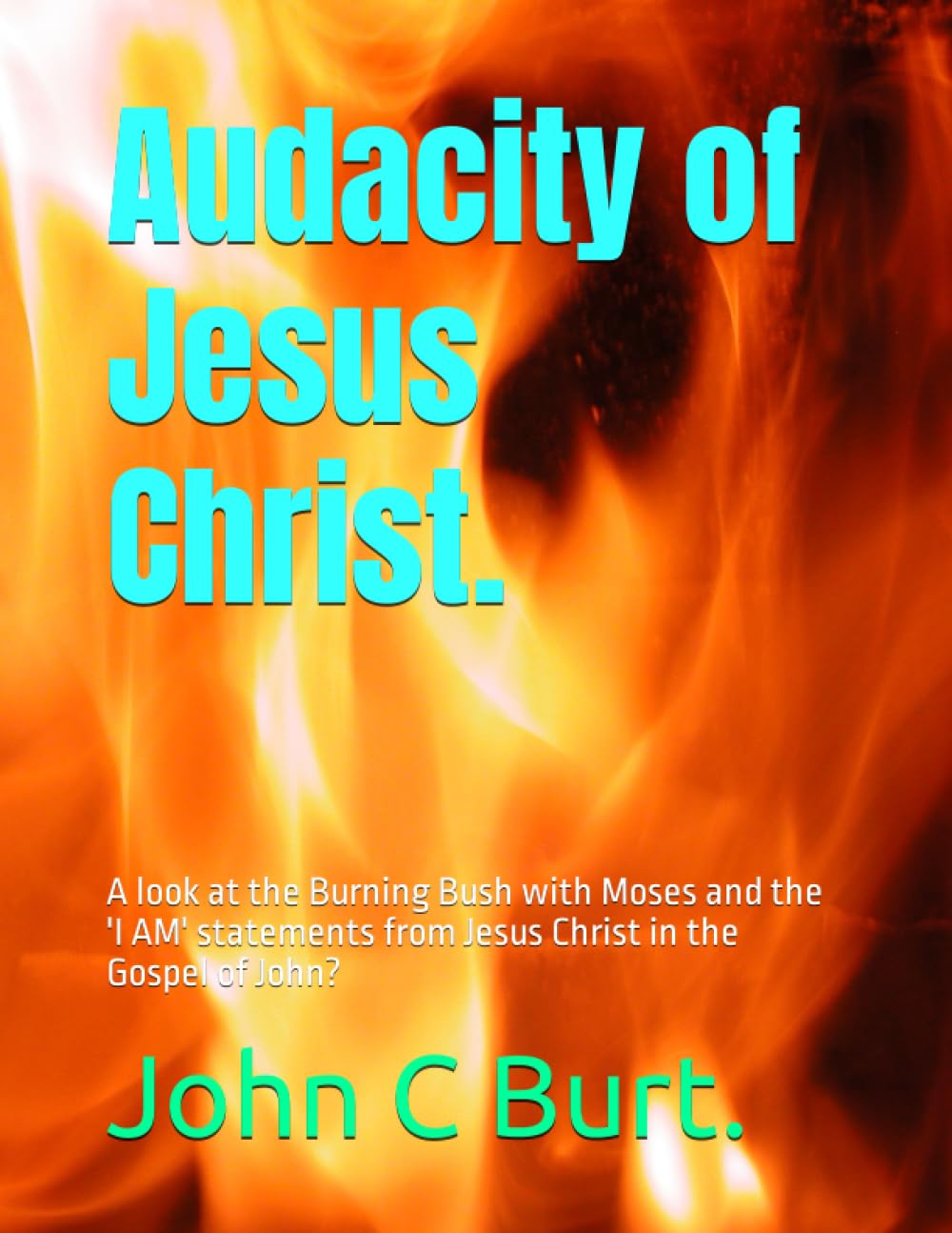 Algopix Similar Product 15 - Audacity of Jesus Christ A look at