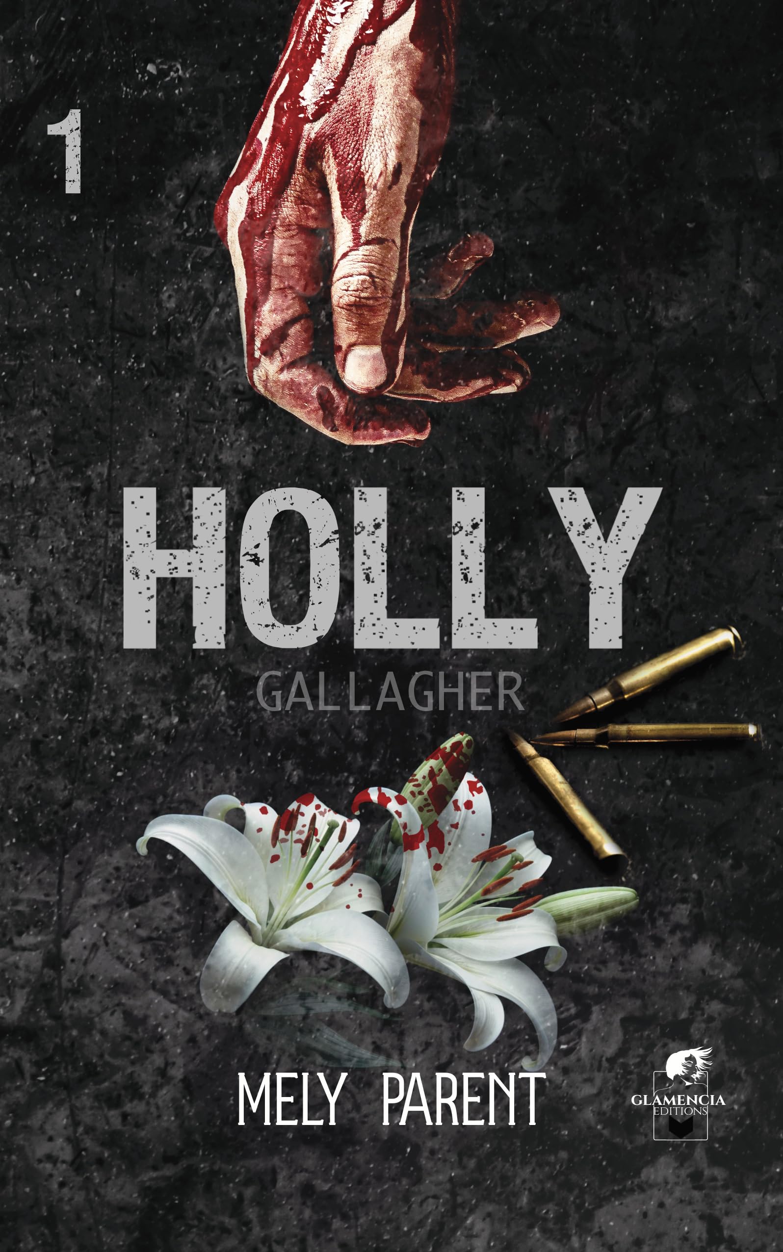 Algopix Similar Product 17 - Holly Gallagher  Tome 1 French