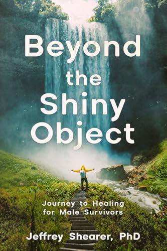 Algopix Similar Product 4 - Beyond the Shiny Object Journey to