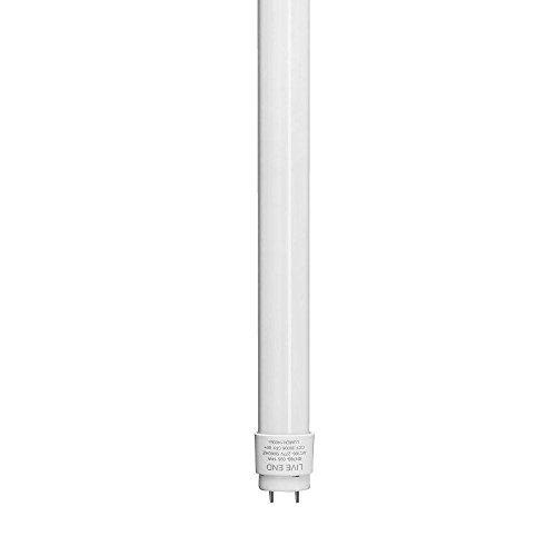 Algopix Similar Product 14 - INNOLED INNO-T8I-4ft-16W-5K-P Lamp White