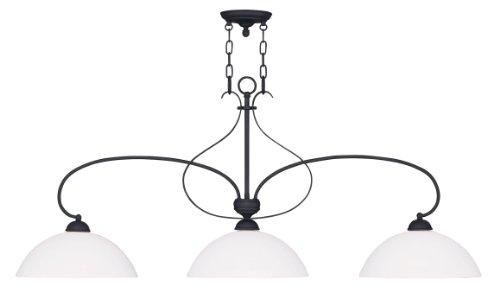 Algopix Similar Product 15 - Livex Lighting 478304 Brookside