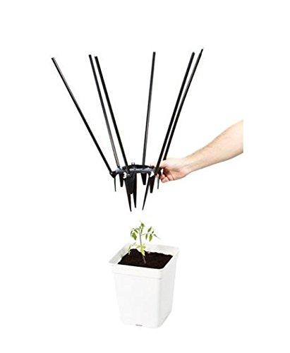 Algopix Similar Product 2 - Global Garden Friends Ultimate Plant