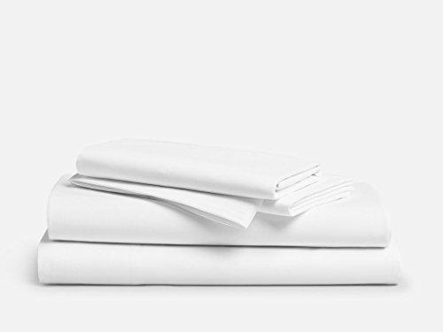 Algopix Similar Product 6 - 