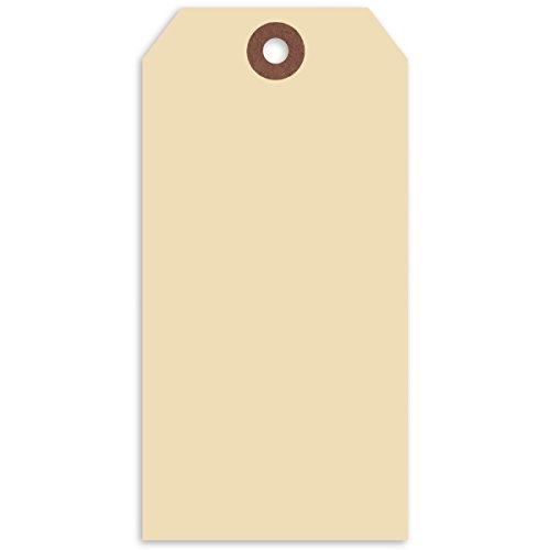 Algopix Similar Product 2 - Merangue 1000 Pack Shipping Tags Sz6