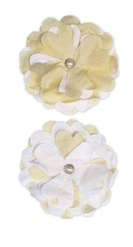 Algopix Similar Product 14 - Bella Blvd Blooms A Bella Bianca