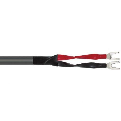 Algopix Similar Product 19 - Wire World Chroma 5 Component Video