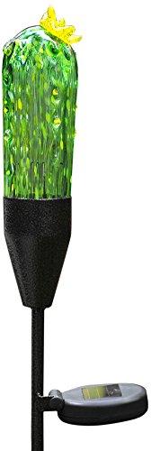 Algopix Similar Product 9 - Coloriscape Firefly Solar Cactus