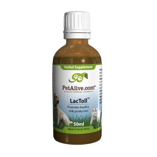 Algopix Similar Product 17 - PetAlive LacToll for Healthy Lactation