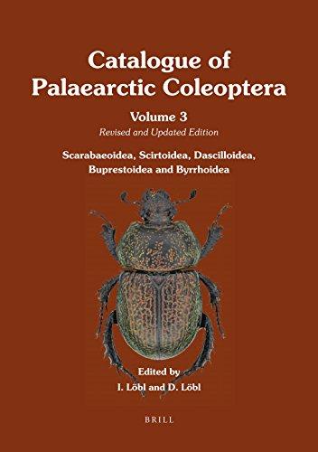 Algopix Similar Product 20 - Catalogue of Palaearctic Coleoptera