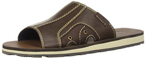 Algopix Similar Product 18 - 